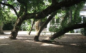 Quinta de São José